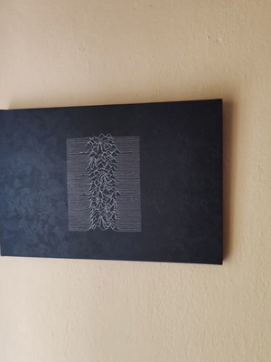 Joy Division Unknown Pleasures framed canvas 45x30 cm like new