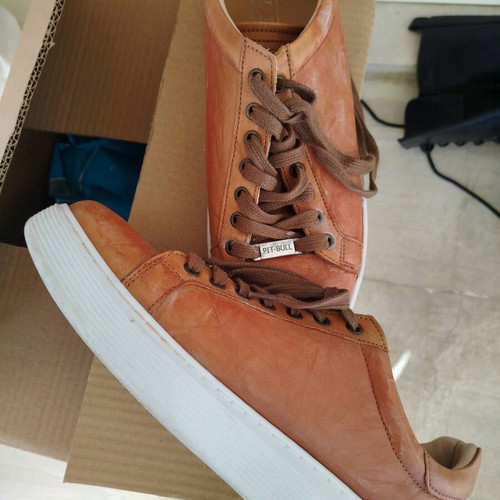 Pitbull sneakers tan leather size 43 like new
