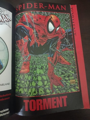 Spider-Man Torment Marvel Comics TPB 2011