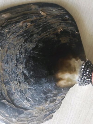 Necklace like new