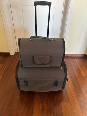 Dog carrier bag with wheels, double zippers and mesh, like new
