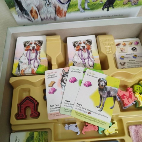 Dog Park board game new