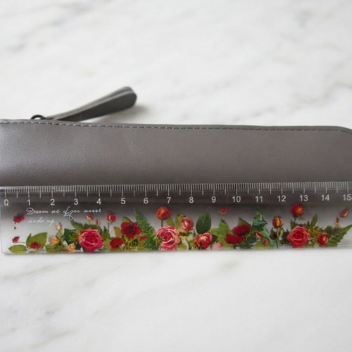 Pencil case set with ruler and bonus bookmark new