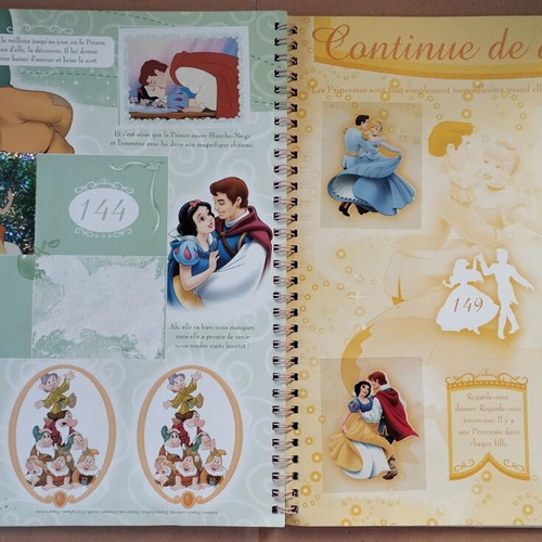 Panini Disney Princess Sticker Album used French edition