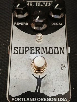 Mr. Black SuperMoon Chrome Reverb pedal like new