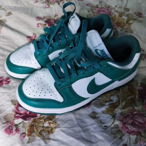 Nike Dunk Low Next Nature Bicoastal sneakers used, size 38