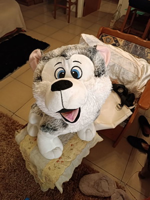 Fur dog used, 60 cm height, fabric face and legs