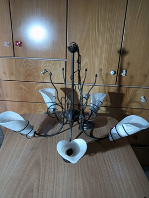 Ceiling light used