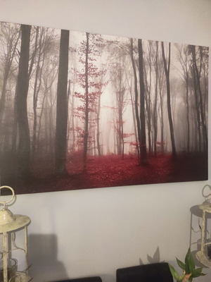 Canvas painting like new