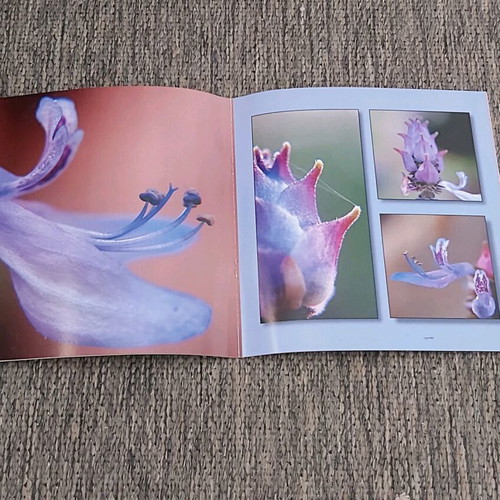 Photo albums like new, pack of 5 with flower, landscape, animal collections
