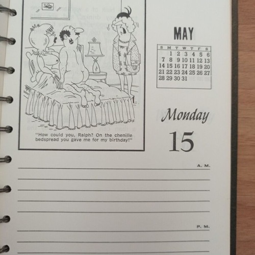 Daily-Dilly 1978 American cartoon calendar like new