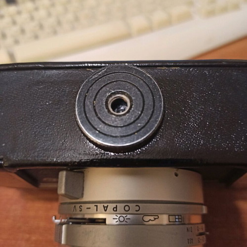 Canon QL camera used