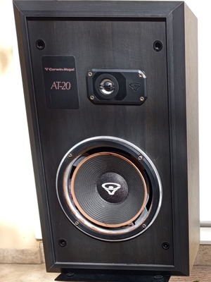 Cerwin-Vega AT-20 floor-standing speaker used, needs new woofer foam