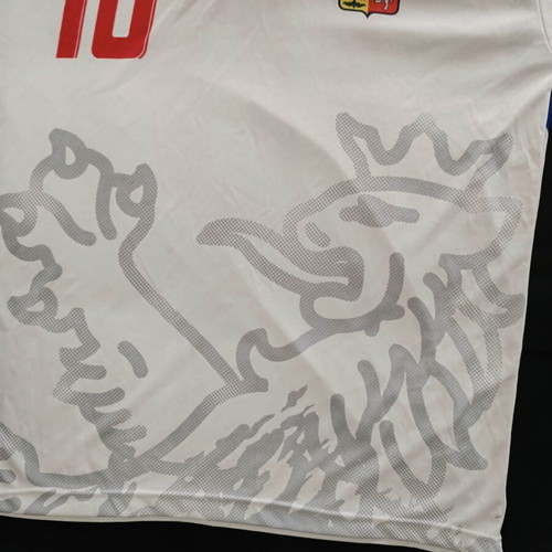 Czech Republic Rosicky 2006 jersey like new, official replica