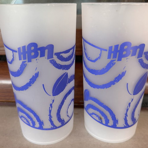 Vintage Ivi Collectible Glasses Set of 2 Frosted