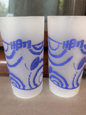 Vintage Ivi Collectible Glasses Set of 2 Frosted