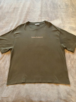 Zara Artistic Endeavors T-shirt like new, green, size L