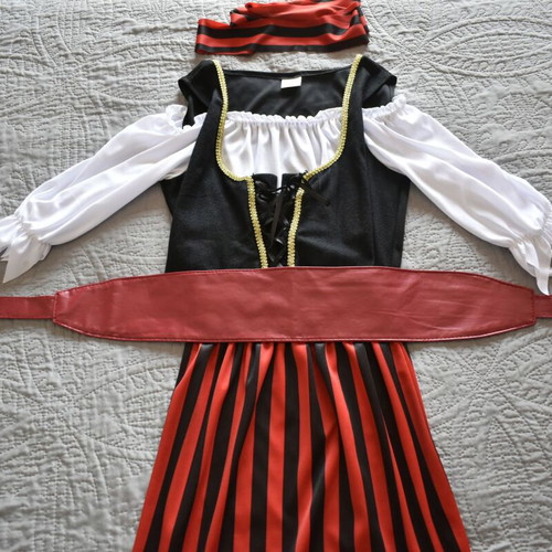 Pirate carnival costume like new, one size women’s