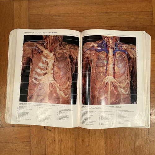 Colored Atlas of Human Anatomy used, second edition
