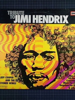Jeff Cooper And The Stoned Wings Tribute To Jimi Hendrix Vinyl Record used, rock