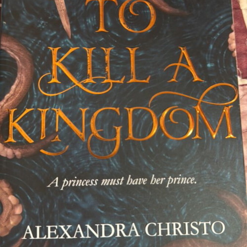 To Kill a Kingdom book like new