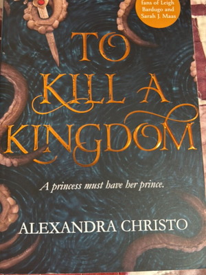 To Kill a Kingdom book like new