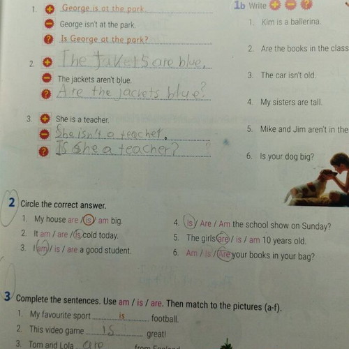 My Grammar Book 1 English used