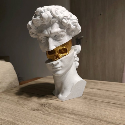 3D Printed David Bust with Gold Skull new, modern decorative art