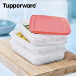 Tupperware three-tier freezer container new