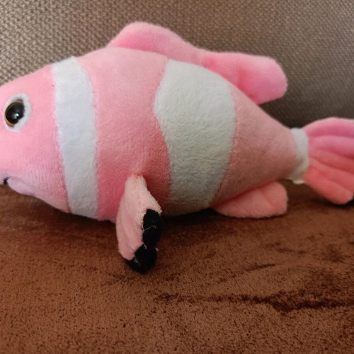 Plush fish with sound like new baby toy