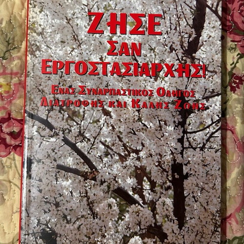 Zise san ergostasiarxis Lina Saisana book like new