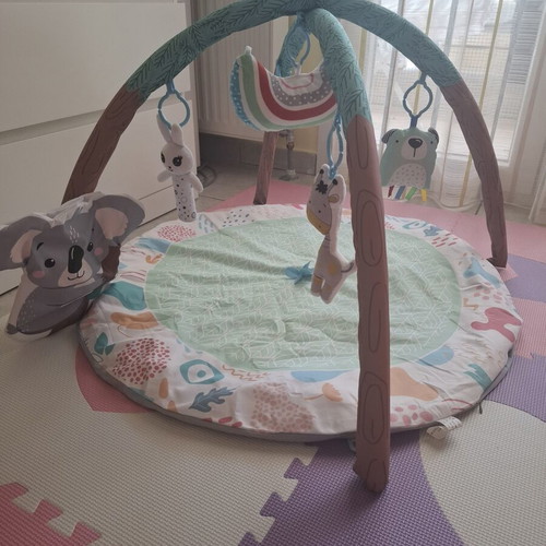 Baby Gym like new with clean fabrics and original packaging