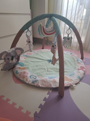 Baby Gym like new with clean fabrics and original packaging