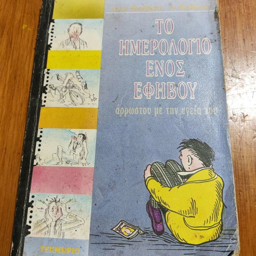 The Diary of a Teenage Boy used, children's literature
