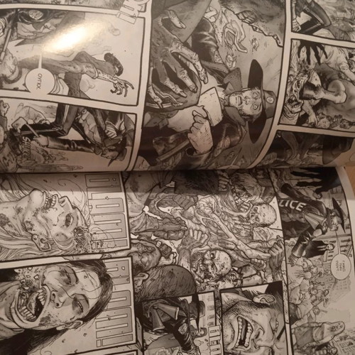 The Walking Dead First Issue used