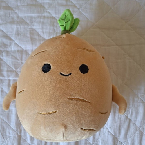 Squishmallow Paden plush toy like new, without tag