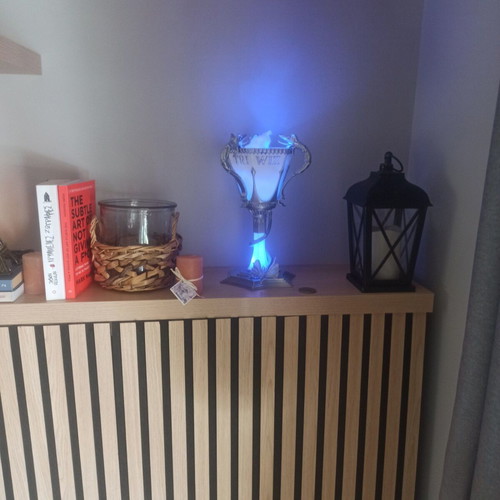 Harry Potter Triwizard Cup large with lighting new