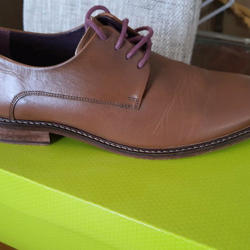 Ted Baker shoes used, tan, size 41, derby style