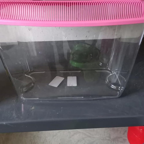 Plastic aquarium 10L like new