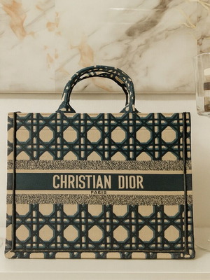 Christian Dior Book Tote handbag new, black
