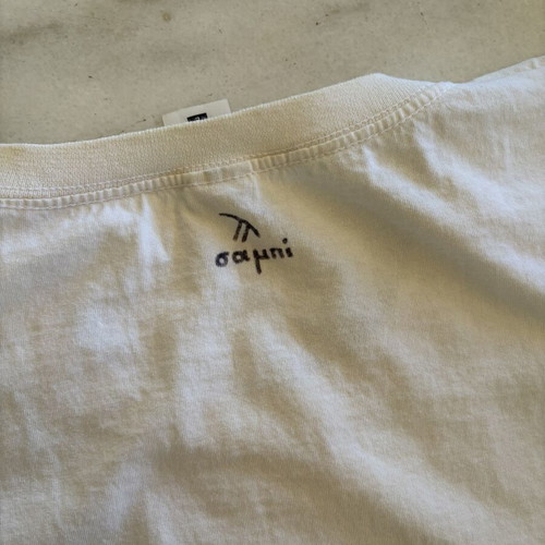 Sampi Lord of the Rings Cotton T-Shirt, Not All Who Wander Are Lost