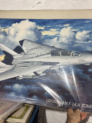 Grumman F-14 A Tomcat Plus fighter jet poster