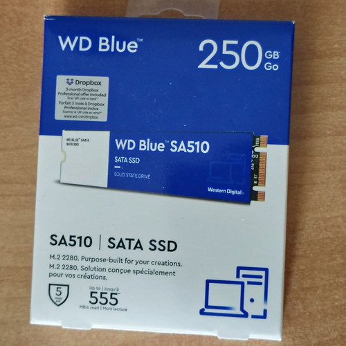 Western Digital Blue SA510 250GB M.2 SATA III SSD