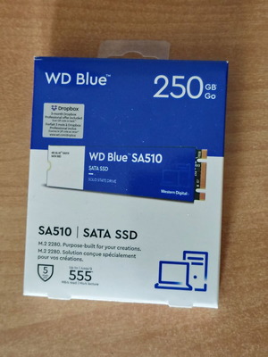 Western Digital Blue SA510 250GB M.2 SATA III SSD