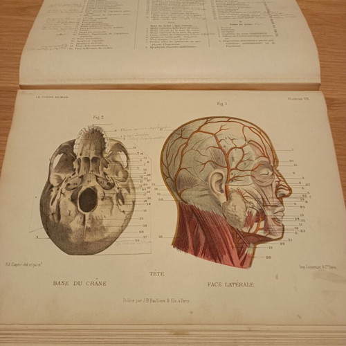 Atlas manuel d anatomie by Édouard Cuyer used, 1895 medical art book
