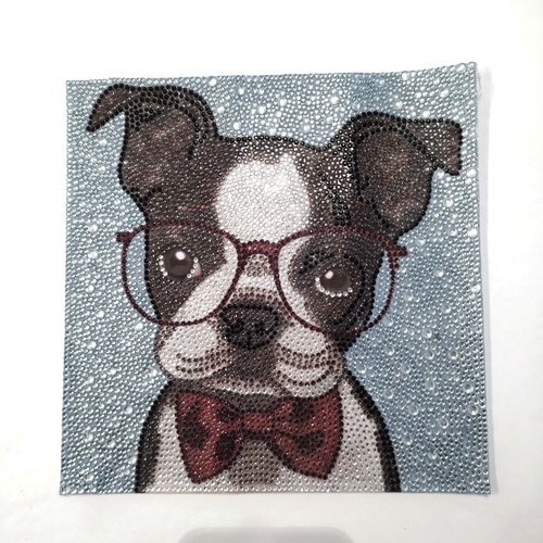 Dog with glasses diamond painting canvas new 25x25