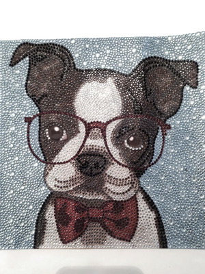 Dog with glasses diamond painting canvas new 25x25