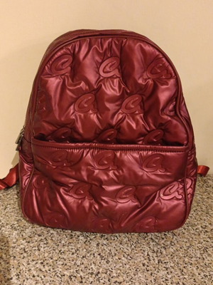 Axel waterproof backpack used, red
