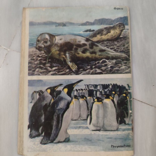 Zagor 18 comic used in good condition