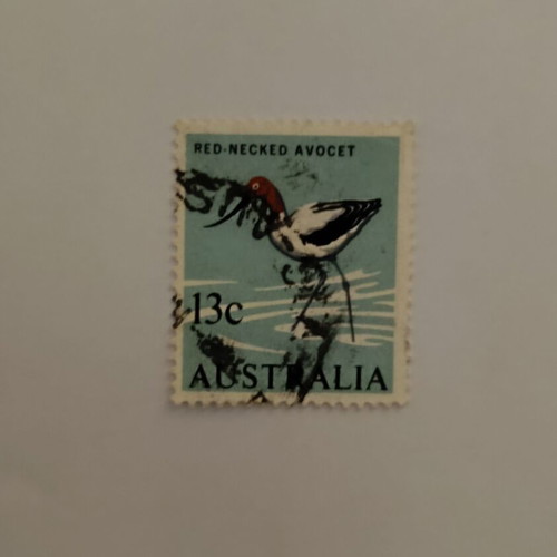 Australian Red-necked Avocet 13c stamp like new